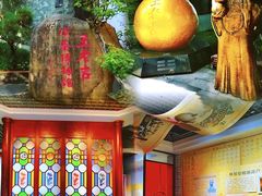 -广州神农草堂中医药博物馆