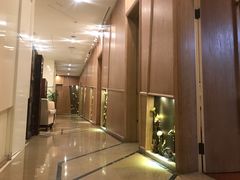 -西湖文化茶楼(环球中心店)