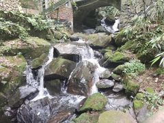 -藏龙百瀑风景区