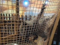 -昆明大悦城未来动物城(螺蛳湾中心店)