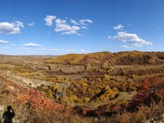 -塞罕坝国家级自然保护区