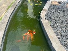 -汤宴·参须肚包鸡(南京路店)