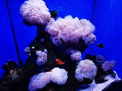 -多彩贵州城极地海洋世界