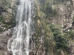 -龙湾潭国家森林公园