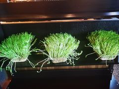 -盡膳口福跷脚牛肉火锅(北美新天地店)