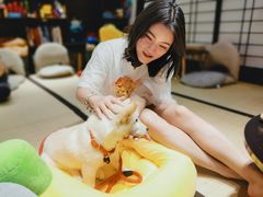 -逗柴咖啡屋·狗咖猫咖宠物桌游