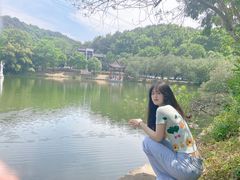 -青龙山国家森林公园