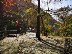 -北京上方山国家森林公园
