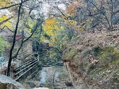 -潭柘寺景区