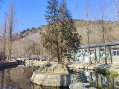 -白水寺森林公园