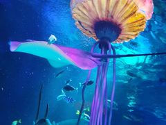 -沈阳海洋探索中心