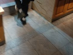 -巢爷老味(东方红店)