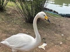 -沈阳森林动物园