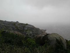 -洋山深水港