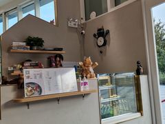 -飞行喵MR PILOT|猫舍·猫咖(静安大融城店)