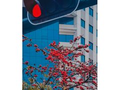 -小南山公园