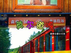 -呼伦贝尔大草原