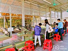 -长洲岛都市农业公园