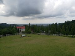 -神户市立六甲山牧场