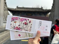 -洛阳白马寺
