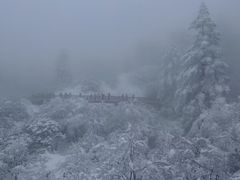 -瓦屋山景区