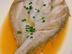 清蒸鮸鱼-华盛丰温州大排档(东三环南路店)