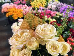 -大学城商业街美食城