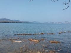 -长广溪湿地公园