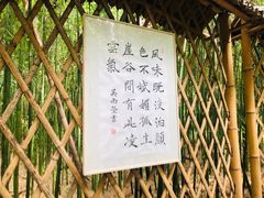 -同里国家湿地公园