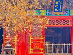 -香山公园