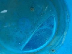 -象山黄金海岸雷迪森酒店