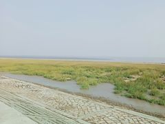 -南汇嘴观海公园