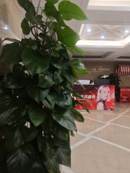 -南京康美美容医院·旗舰店
