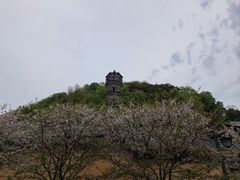 -紫阳古街