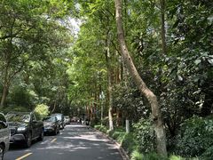 -浙江西子宾馆·瑶园咖啡厅