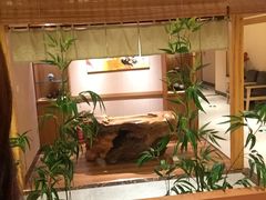 -大江户·温泉洗浴(浑南店)