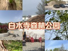 -白水寺森林公园