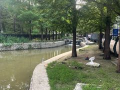 -白水寺森林公园