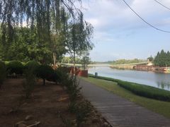 -羊亭河湿地公园