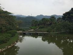 -佛冈森波拉度假区