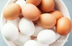Squid Boiled Egg