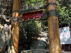 -长沙黑麋峰国家森林公园