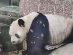 -深圳野生动物园宠物医院(西湖林语店)