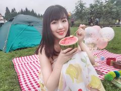 -武陵山森林公园