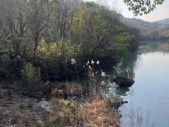 -白马涧龙池景区