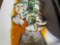 -魏铭鱼头捞饭(晋阳路店)