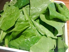 娃娃菜-老天桥蛙炉火锅(姑苏总店)