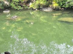 -水底山庄园温泉
