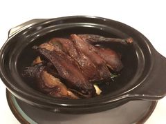 -苏浙总会(国金中心店)