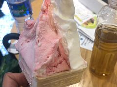-柠檬车露(卖草地店)